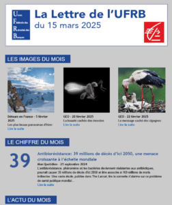 LETTRE UFRB – L’Actu du mois